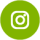 icono-instagram